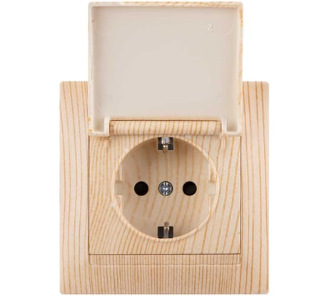 Розетка TDM ELECTRIC Лама 2П+З 16А 250В IP44 с защитными шторками, с крышкой сосна SQ1815-0314