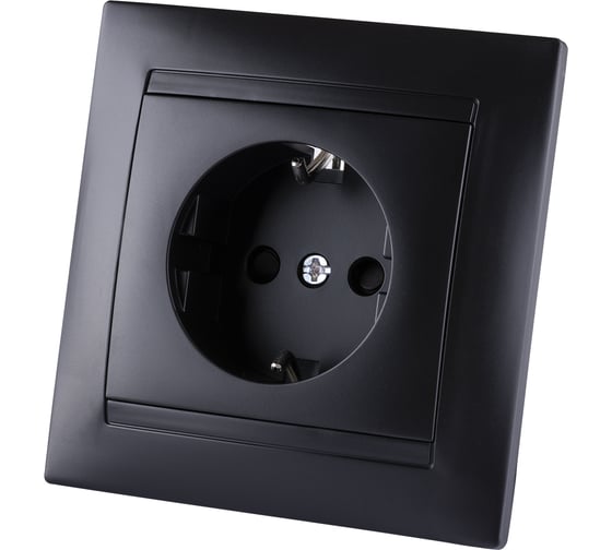 Розетка TDM ELECTRIC Лама 2П+З 16А 250В графит SQ1815-0623