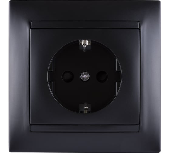 Розетка TDM ELECTRIC Лама 2П+З 16А 250В графит SQ1815-0623