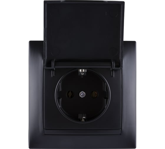 Розетка TDM ELECTRIC Лама 2П+З 16А 250В графит SQ1815-0623