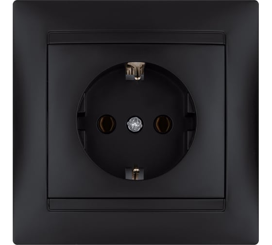 Розетка TDM ELECTRIC Лама 2П+З 16А 250В графит SQ1815-0623