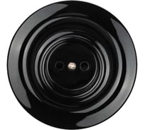 Розетка TDM ELECTRIC Болонь скрытой установки фарфоровая 2П 10А 250В черная SQ1820-0221