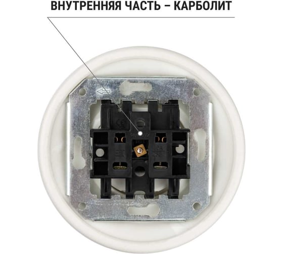 Розетка TDM ELECTRIC Болонь скрытой установки фарфоровая 2П 10А 250В черная SQ1820-0221
