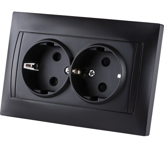 Двойная розетка TDM ELECTRIC Лама 2П+З 16А 250В с защитными шторками графит SQ1815-0613
