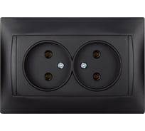 Двойная розетка TDM ELECTRIC Лама 2П 10А 250В графит SQ1815-0624