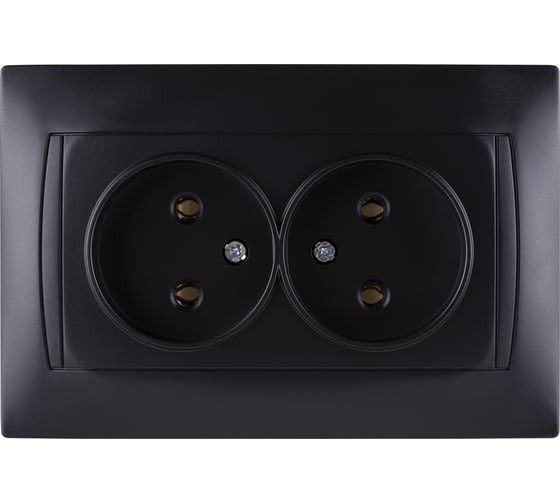 Двойная розетка TDM ELECTRIC Лама 2П 10А 250В графит SQ1815-0624