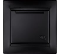 Розетка с заземлением 16А 250В IP44 с крышкой графит "Лама" TDM ELECTRIC SQ1815-0626