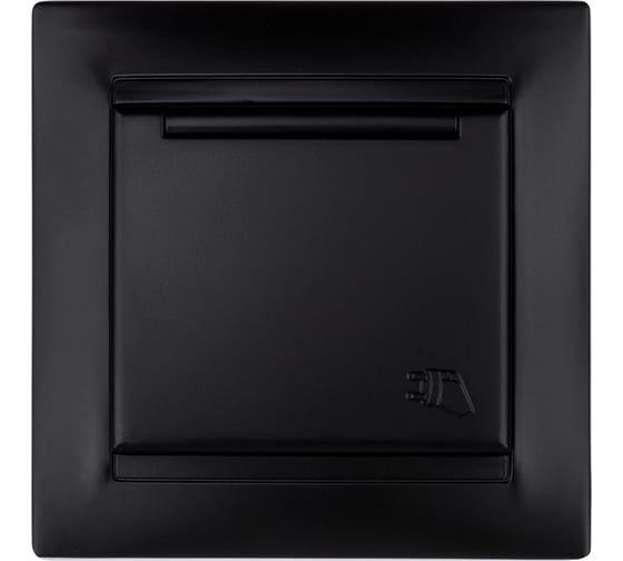 Розетка TDM ELECTRIC Лама 2П+З 16А 250В IP44 с крышкой графит SQ1815-0626