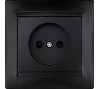 Розетка TDM ELECTRIC Лама 2П 10А 250В с защитными шторками, графит SQ1815-0610
