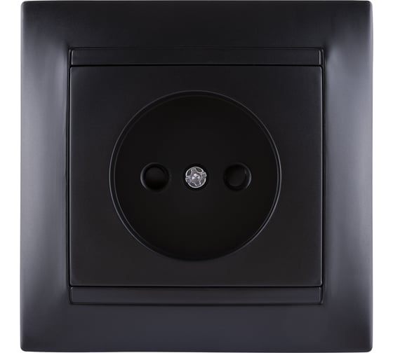 Розетка TDM ELECTRIC Лама 2П 10А 250В с защитными шторками, графит SQ1815-0610