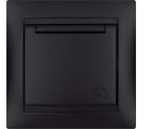Розетка TDM ELECTRIC Лама 2П+З 16А 250В IP44 с защитными шторками, с крышкой, графит SQ1815-0614