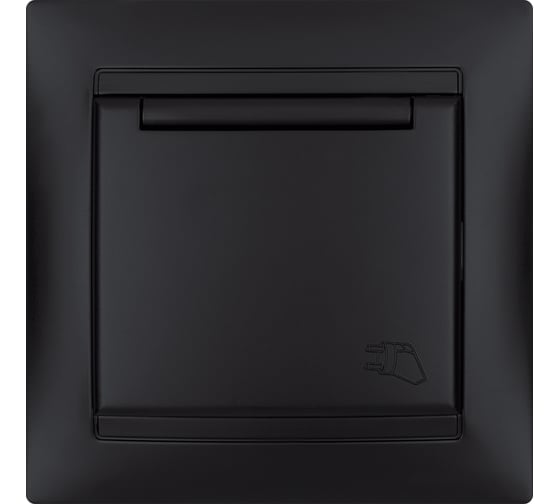 Розетка TDM Лама 2П+З 16А 250В IP44 с защитными шторками, с крышкой, графит SQ1815-0614