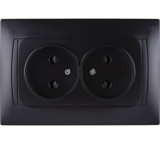 Двойная розетка TDM ELECTRIC Лама 2П 10А 250В с защитными шторками графит SQ1815-0612