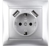 Розетка с USB 2 порта 2,1А 5В, с заземлением TDM ELECTRIC серебристый металлик, 2П 16А 250В серия "Лама" SQ1815-0242