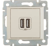 2-pозетка USB Legrand Valena слоновая кость 694372