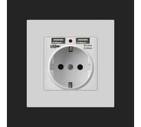 Розетка USB Wiekk белая 86IS21SV-USBW ШВ-00000357