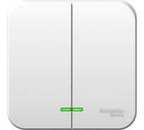 Двухклавишный выключатель Systeme Electric ОП BLANCA сх.5 10А 250В SchE BLNVA105111 1210453