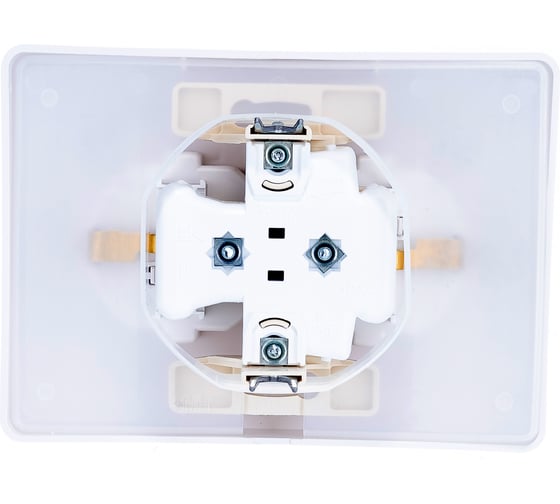 Розетка Systeme Electric 2-м СП BLANCA 16А 250В защитные шторки SchE1210266 BLNRS441121