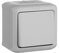 Выключатель Legrand одноклавишный Legrand Quteo IP44 10А 250В винтовые зажимы накладной монтаж серый 782330
