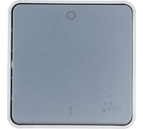Двухполюсный выключатель Legrand Программа Plexo серый 10 AX 069530