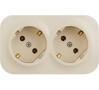 Розеточный блок Legrand двойной с заземлением Legrand Quteo с предварительным подключением без шторок IP20 16А 250В винтовые зажимы накладной монтаж слоновая кость 782263