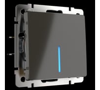 Одноклавишный выключатель WERKEL W1110107, с подсветкой, серо-коричневый a050842