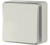 Выключатель WERKEL одноклавишный Gallant слоновая кость W5010003 a051540