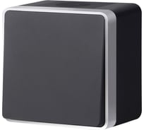 Выключатель WERKEL одноклавишный влагозащищенный Gallant черный с серебром W5010234 a051164