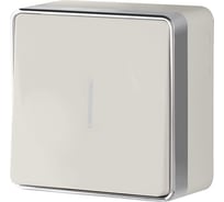 Выключатель WERKEL W5010103 одноклавишный с подсветкой Gallant слоновая кость a051542