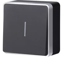 Выключатель WERKEL одноклавишный с подсветкой Gallant черный с серебром W5010134 a051152
