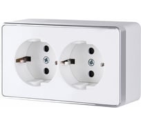 Двойная розетка с заземлением WERKEL Gallant (белый) W5072101