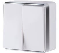 Выключатель WERKEL W5020001 двухклавишный Gallant белый a051592