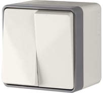 Выключатель WERKEL W5020203 двухклавишный влагозащищенный Gallant слоновая кость a051544