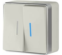 Выключатель WERKEL W5020103 двухклавишный с подсветкой Gallant слоновая кость a051550