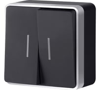 Выключатель WERKEL W5020134 двухклавишный с подсветкой Gallant черный с серебром a051144