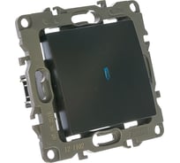 Выключатель с подсветкой ЭРА 12-1102-05 10АХ-250В, IP20, антрацит Б0014637