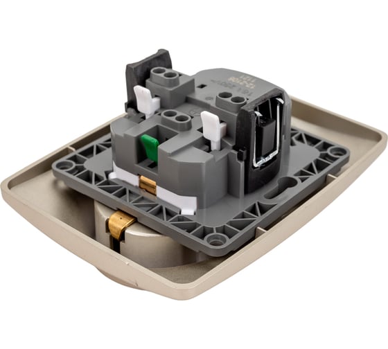 Розетка ЭРА 12-2106-04 2X2P+E Schuko, 16A-250В, IP20, шампань Б0031231