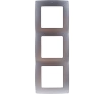 Рамка ЭРА 12-5003-03 на 3 поста, алюминий Б0014763