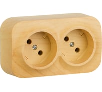 Розеточный блок Legrand двойной без заземления Legrand Quteo с предварительным подключением без шторок IP20 16А 250В винтовые зажимы накладной монтаж дерево 782281