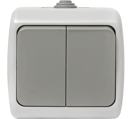 Выключатель EKF Мурманск 2-клавишный 10А IP54 серый EFV10-023-30-54