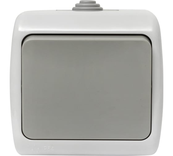 Выключатель EKF Мурманск 1-клавишный 10А IP54 серый EFV10-021-30-54