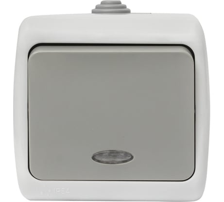Одноклавишный выключатель EKF Мурманск с индикатором 10А IP54 серый EFV10-121-30-54