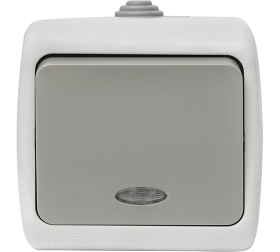 Одноклавишный выключатель EKF Мурманск с индикатором 10А IP54 серый EFV10-121-30-54