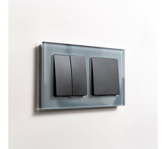 Рамка на 2 поста Werkel WL01 Frame 02 серый, стекло a030776