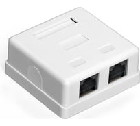 Внешняя двойная розетка ExeGate SM2-RJ45-C6 RJ-45 кат.6 UTP Krone 110 292845