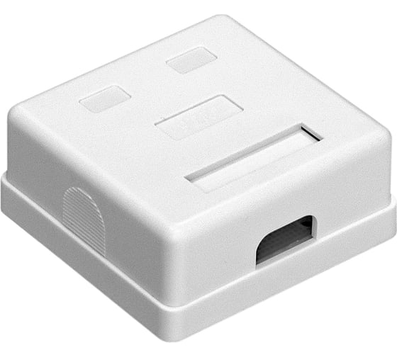 Внешняя двойная розетка ExeGate SM2-RJ45-C5 RJ-45 кат.5 5E UTP Krone 110 292843