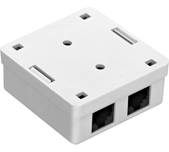 Внешняя двойная розетка ExeGate SM2-RJ45-C5 RJ-45 кат.5 5E UTP Krone 110 292843