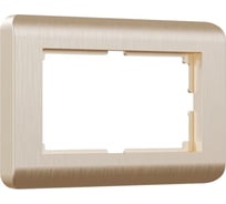 Рамка для двойной розетки Werkel WL12-Frame-01-DBL шампань a04187 a041873