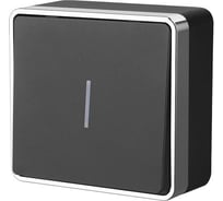 Одноклавишный выключатель с подсветкой Werkel WL15 01 04 Gallant черный хром a041691