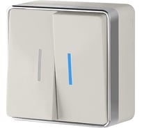 Двухклавишный выключатель с подсветкой Werkel WL15 03 03 Gallant слоновая кость a036778